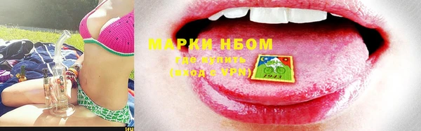 стафф Новодвинск