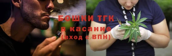 стафф Новодвинск