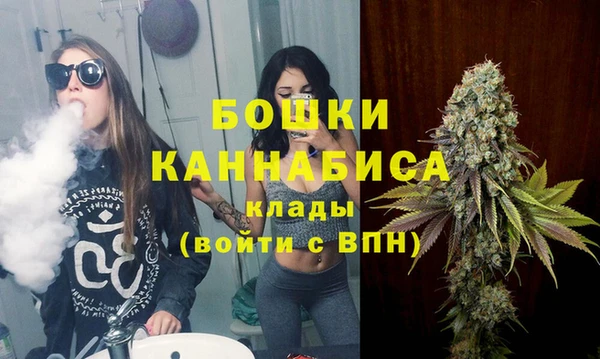 прущие грибы Сясьстрой